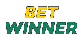 betwinner.parisivoire.com